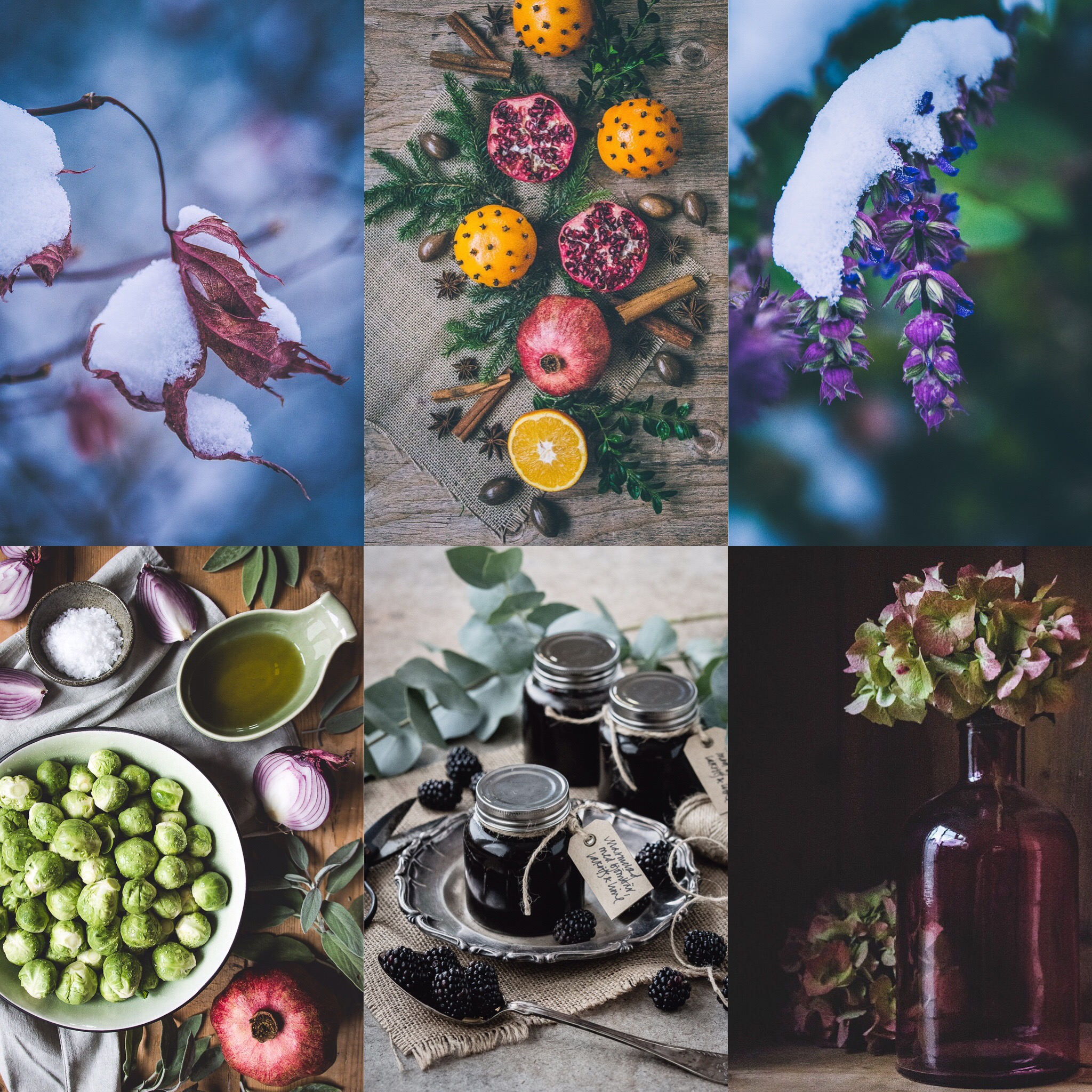 instagram november 2016