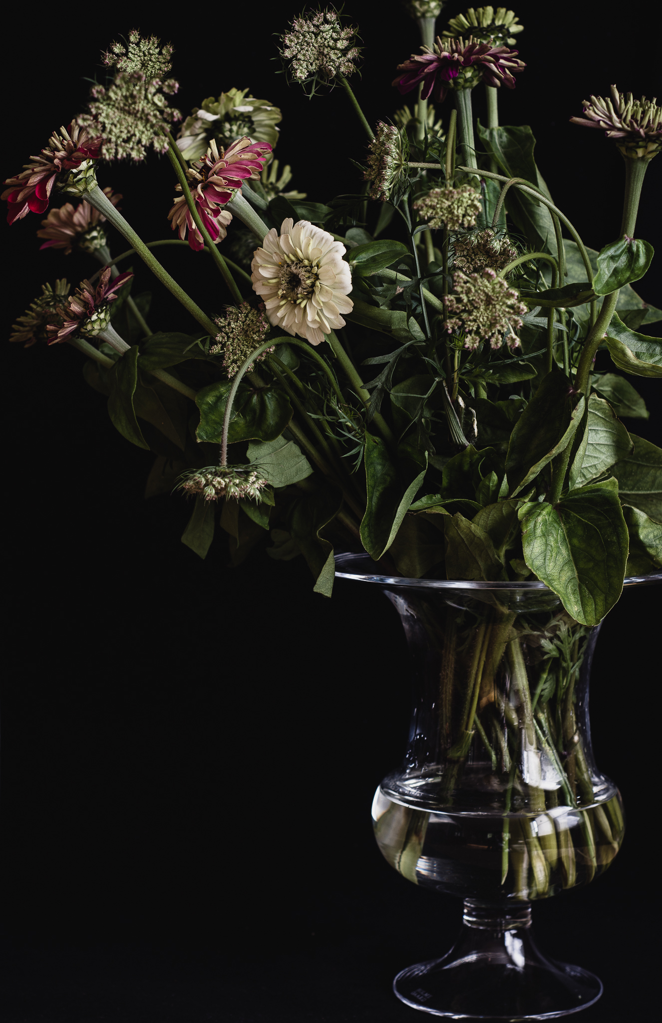 zinnia old english