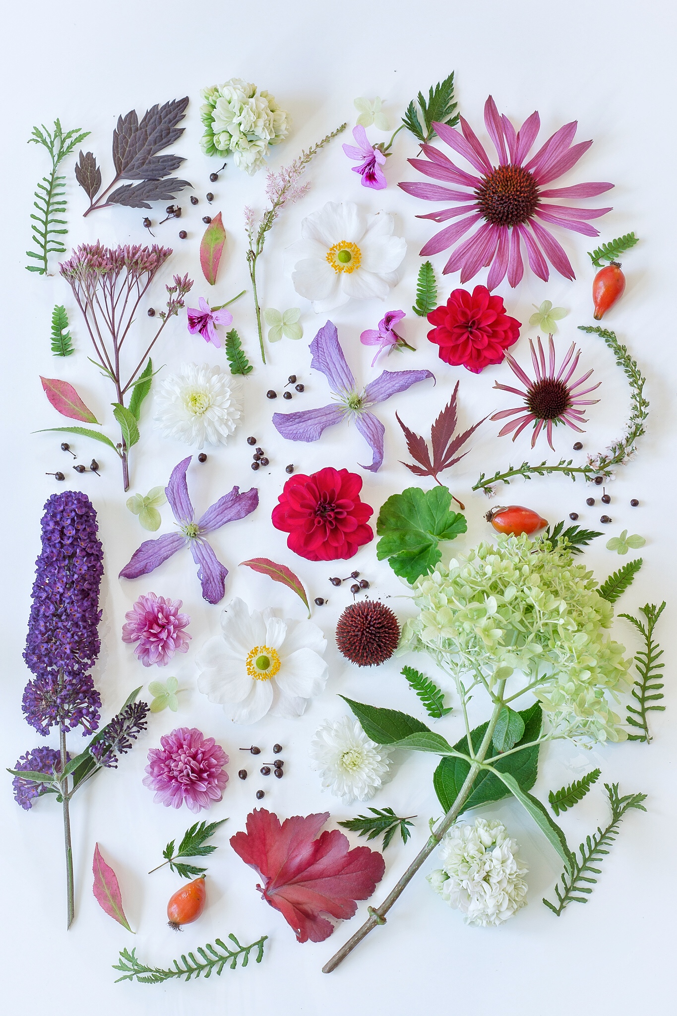 moodboard september