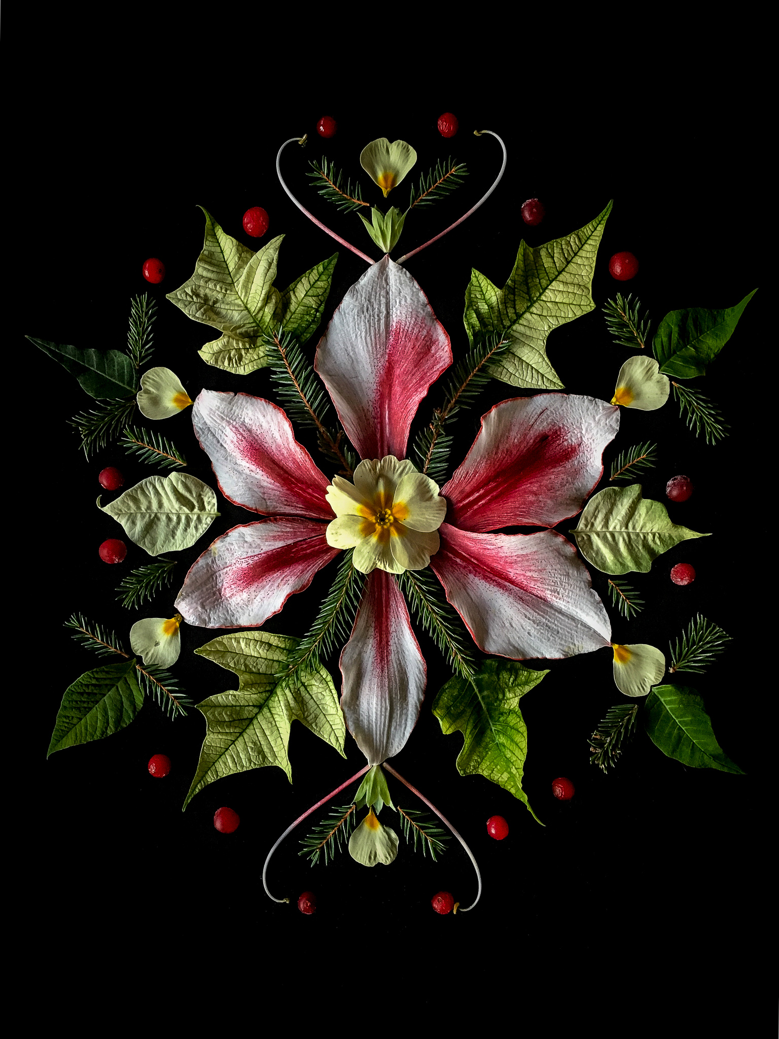advent blomsterpill