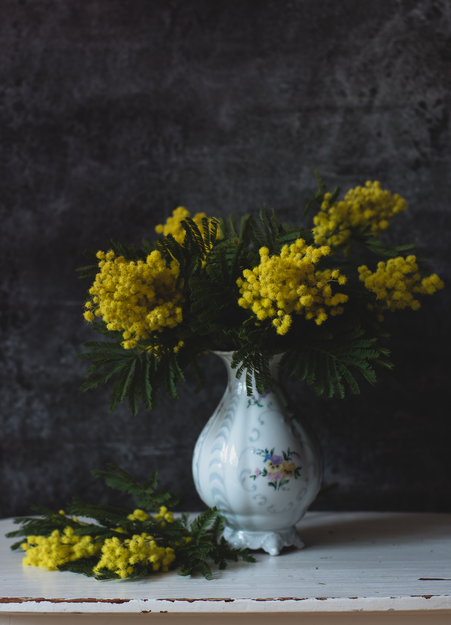mimosa