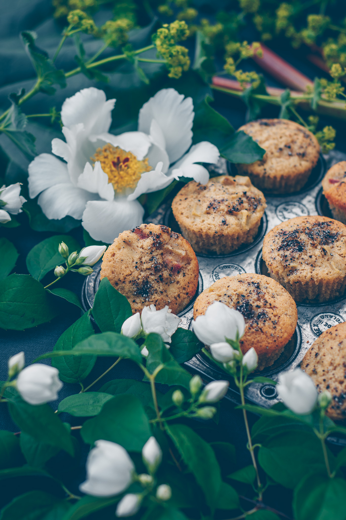rabarbermuffins glutenfria