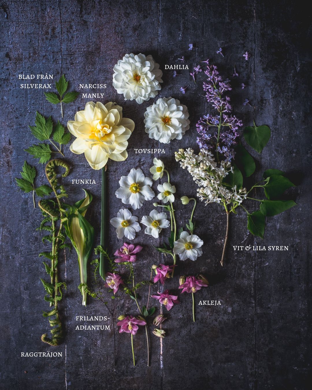 moodboard från trädgården