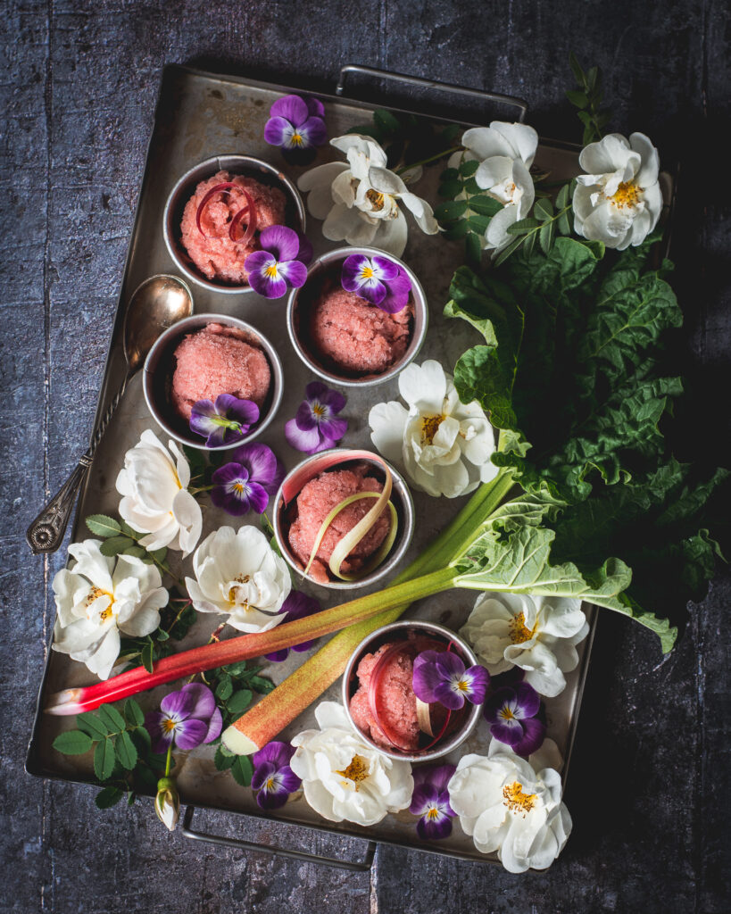 rabarbersorbet