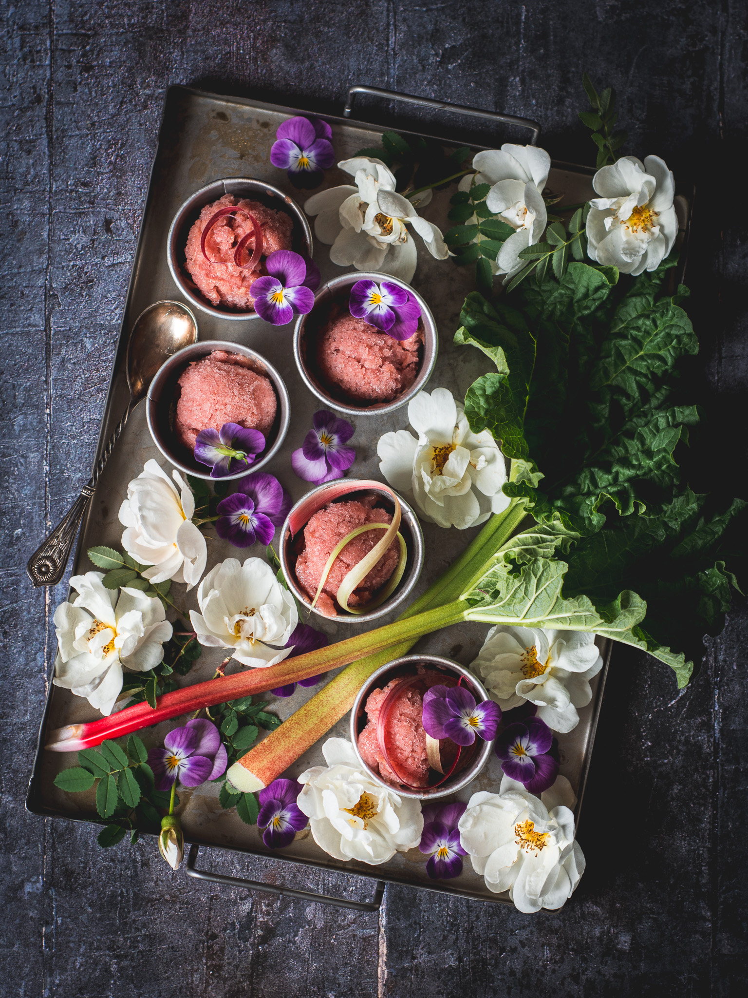rabarbersorbet