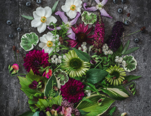 augustiblomster