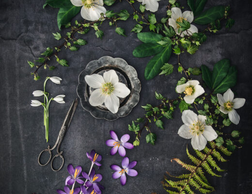 moodboard februari